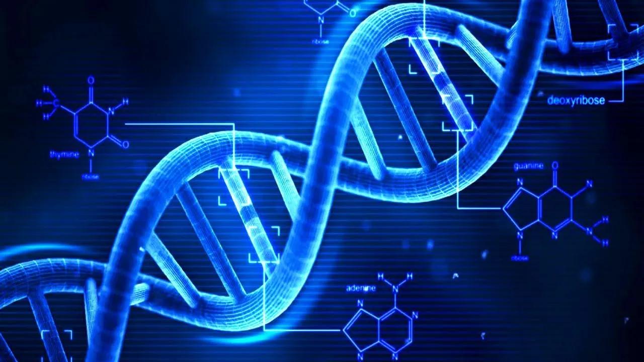 Recombinant DNA Technology