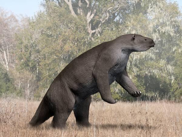 Megatherium 
