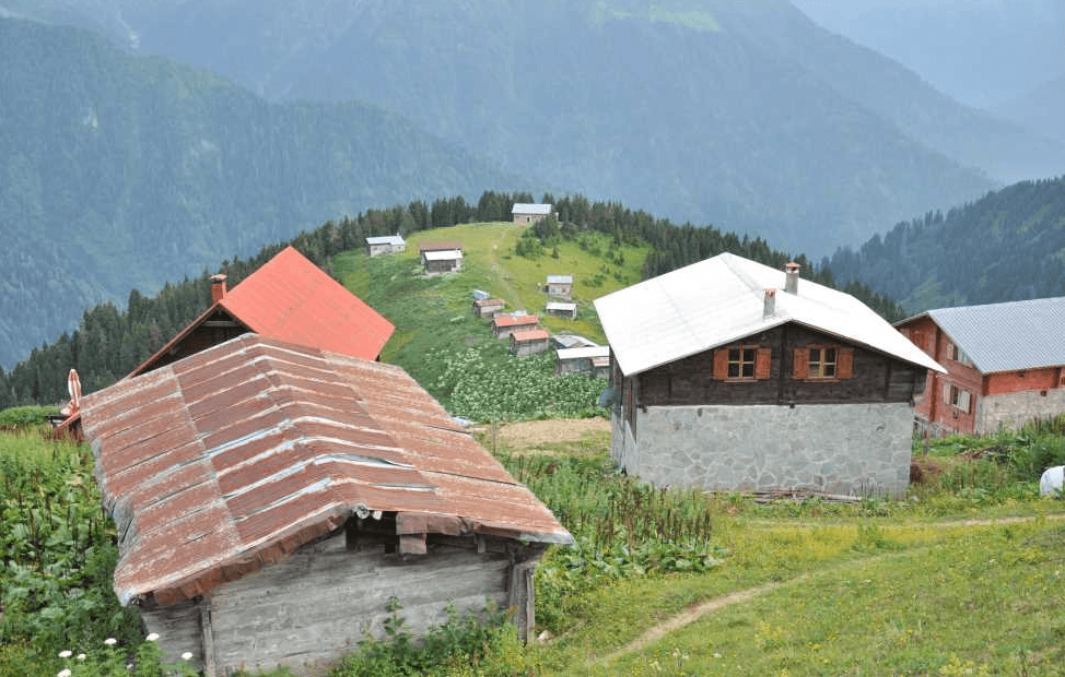 Pokut Yaylası