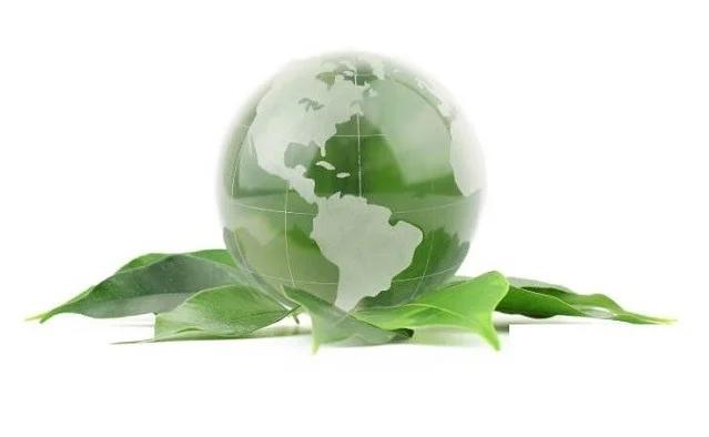 Sustainability and Green Business Models: The Competitive Advantage of the Future