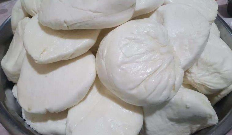 Elbistan Kelle Peyniri