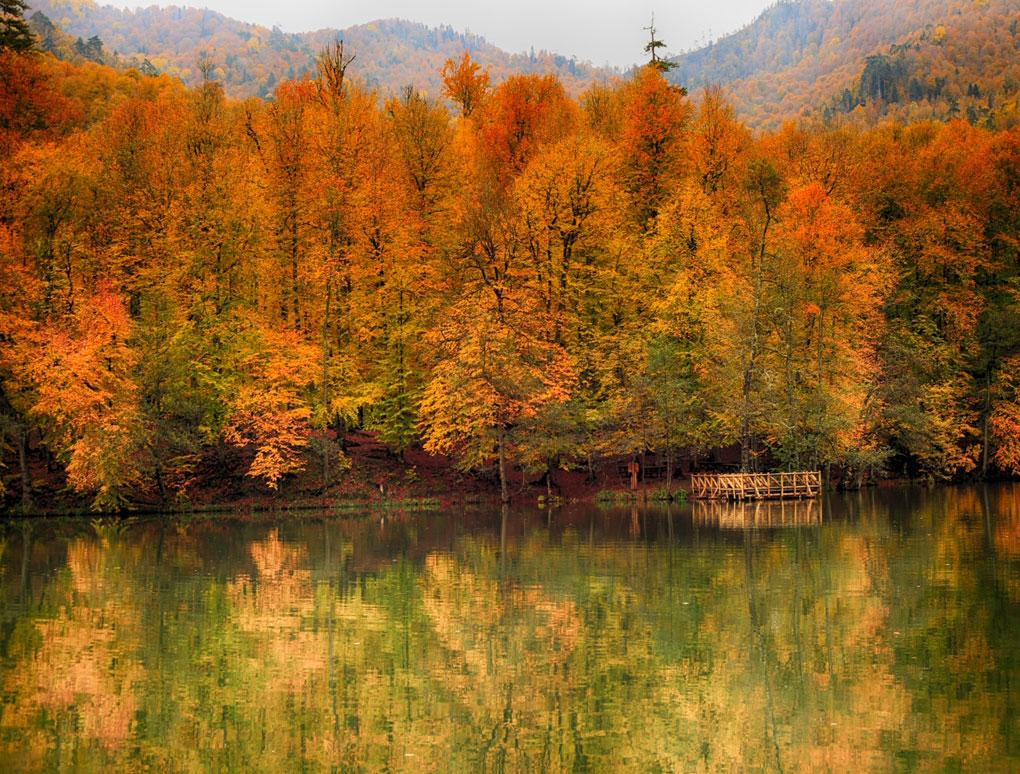 Yedigöller National Park