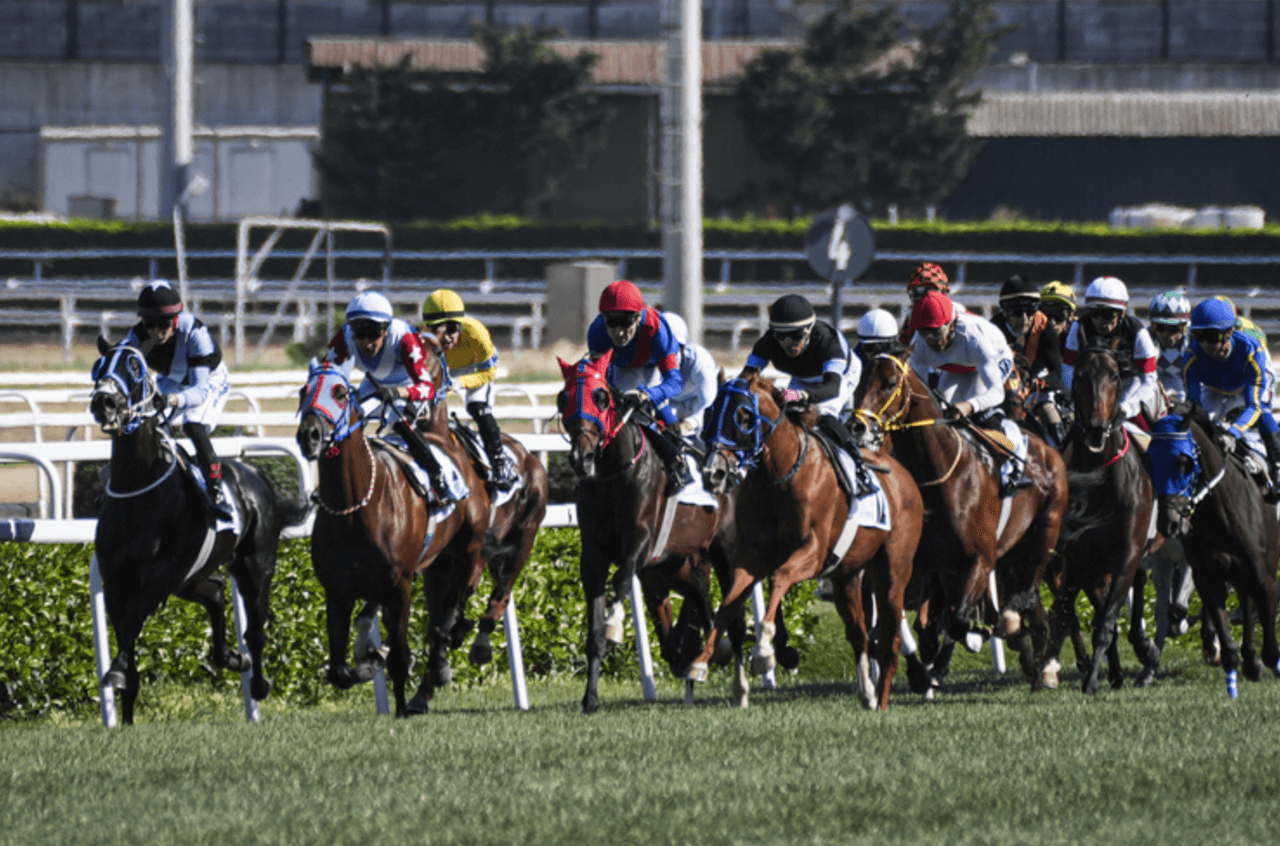 99. Gazi Race