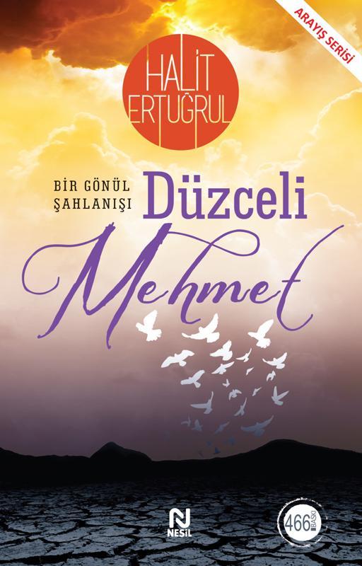 Düzceli Mehmet (Kitap)