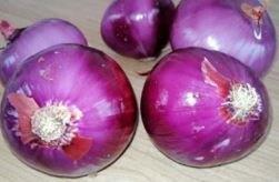 Red Onion with Speckles / Speckled Red