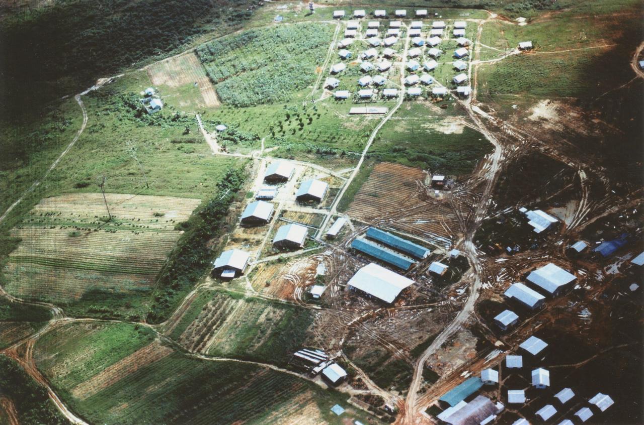 Jonestown Mass Suicide Case