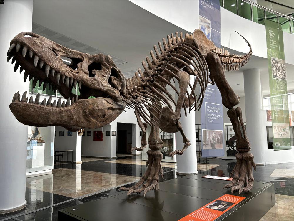 Atatürk University Museum of Biodiversity Sciences (ABBM)