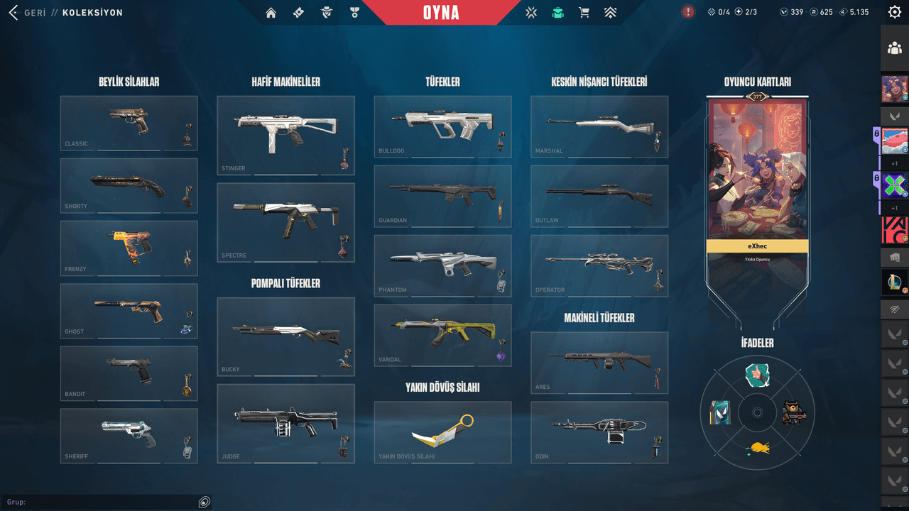 In-game interface screenshot from Valorant's collection tab, listing weapon categories such as pistols, SMGs, shotguns, rifles, and snipers.
