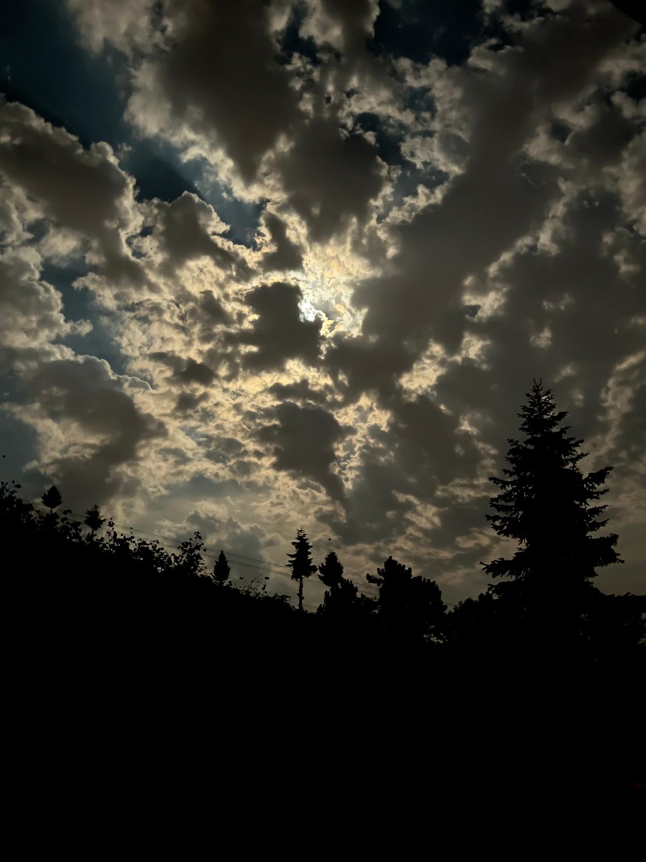 Sakarya'da Çekilen Doğanın Güzelliği