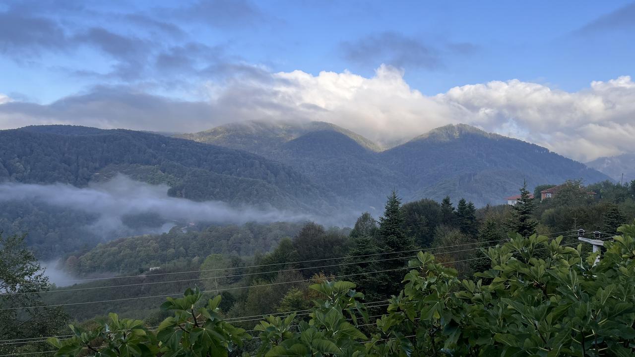 Karadeniz Esintileri Dolu Sakarya'nın Muhteşem Duruşu