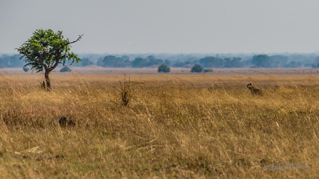 Kafue Ulusal Park
