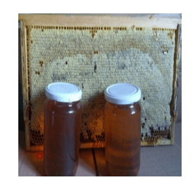 Erzincan Geven Honey