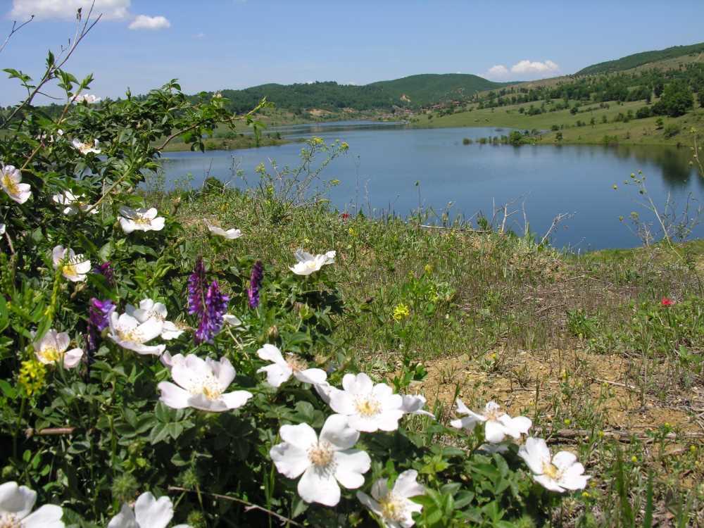 Günyurdu Reservoir