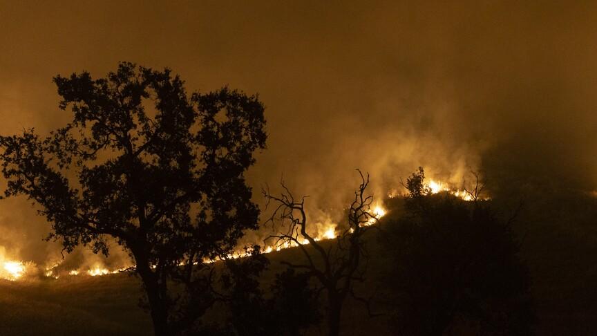 Wildfires in Utah State, USA (June 2026)