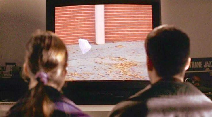 Awakening from a Perfect Coma: Image, Rebellion, and Truth in American Beauty