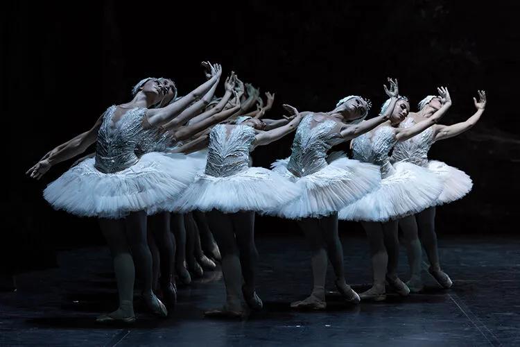 Swan Lake Ballet