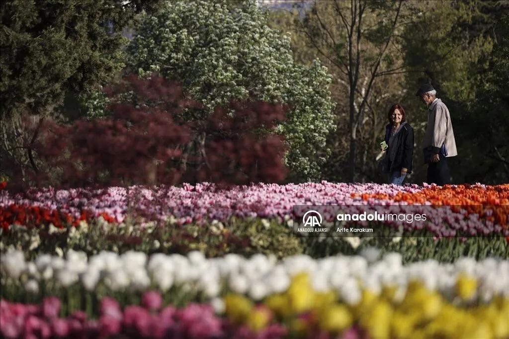 Emirgan Korusu