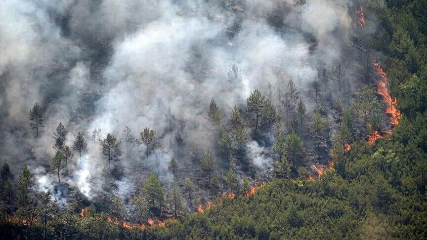 Spain Forest Fires (July 2026)