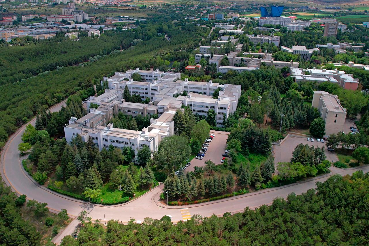 Hacettepe University