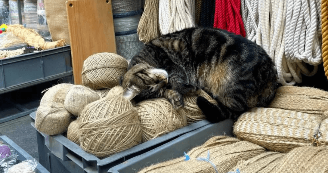 Rope-Making (EN)