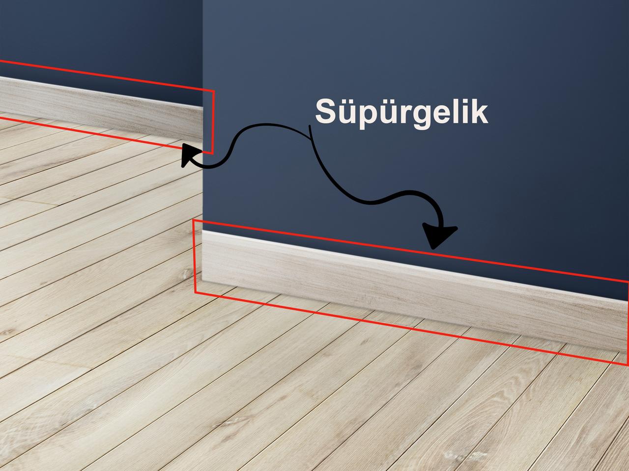 Süpürgelik (Sözlük)