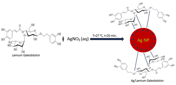Encapsulated silver nanoparticles produced in the laboratory