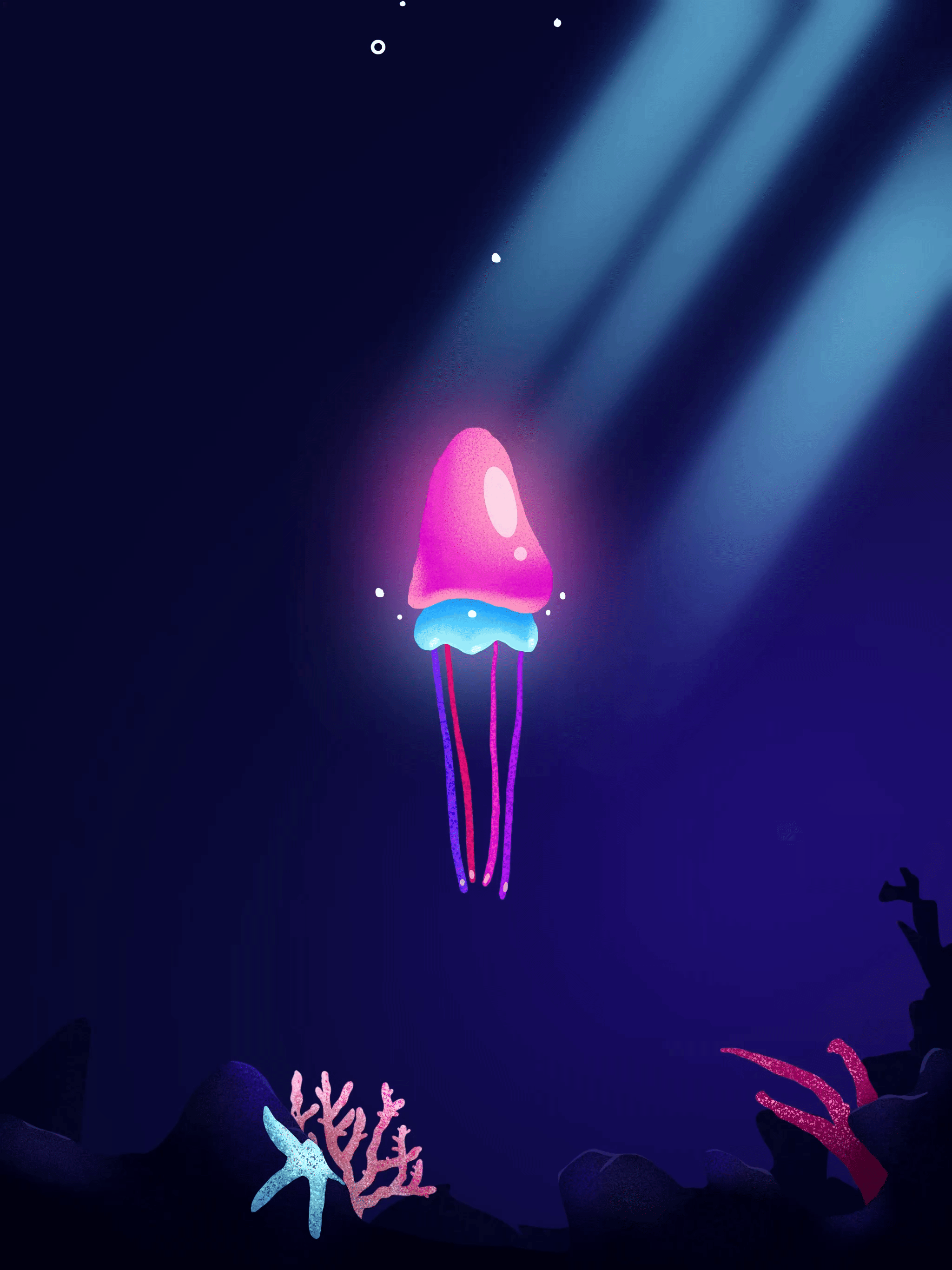 What Is a Jellyfish?