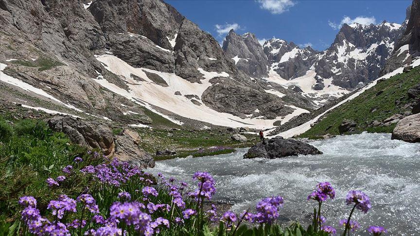 Hakkari (İl)