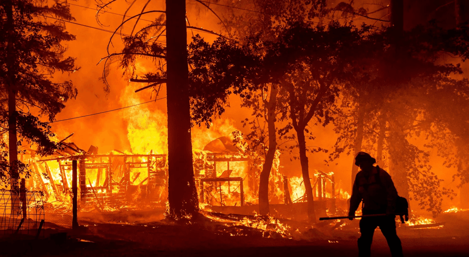Damage Detection in Forest Fire Areas Using Satellite Imagery