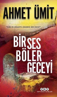 bir ses.jpg