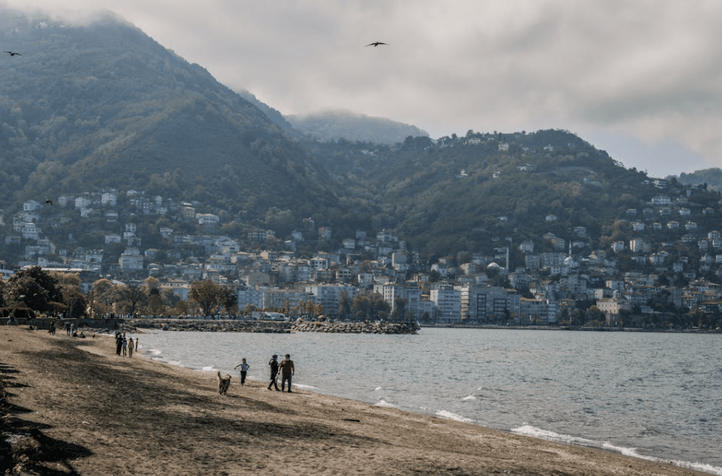 Ordu (İl)