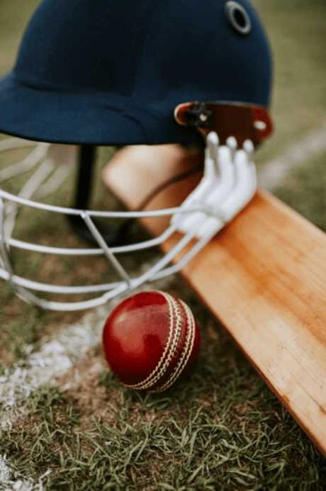 Cricket Diplomacy