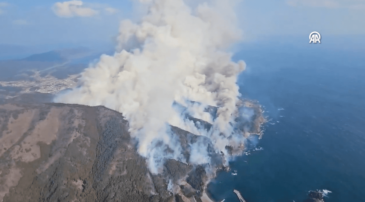 Ofunato Wildfire (2025)