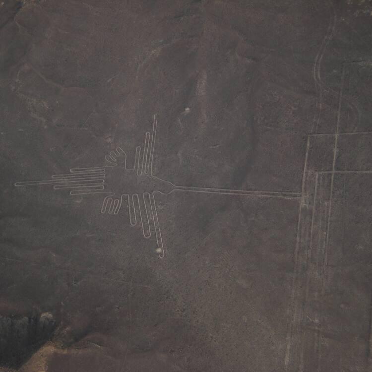 Nazca Lines (Líneas de Nazca)