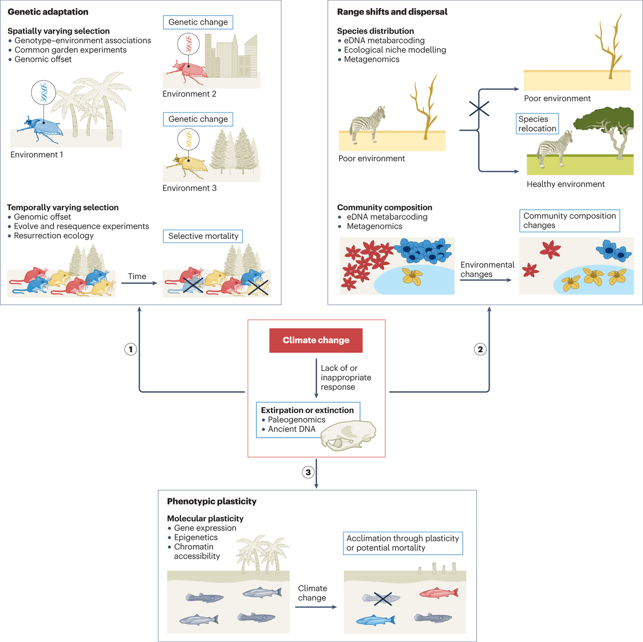 Climate Change Adaptation