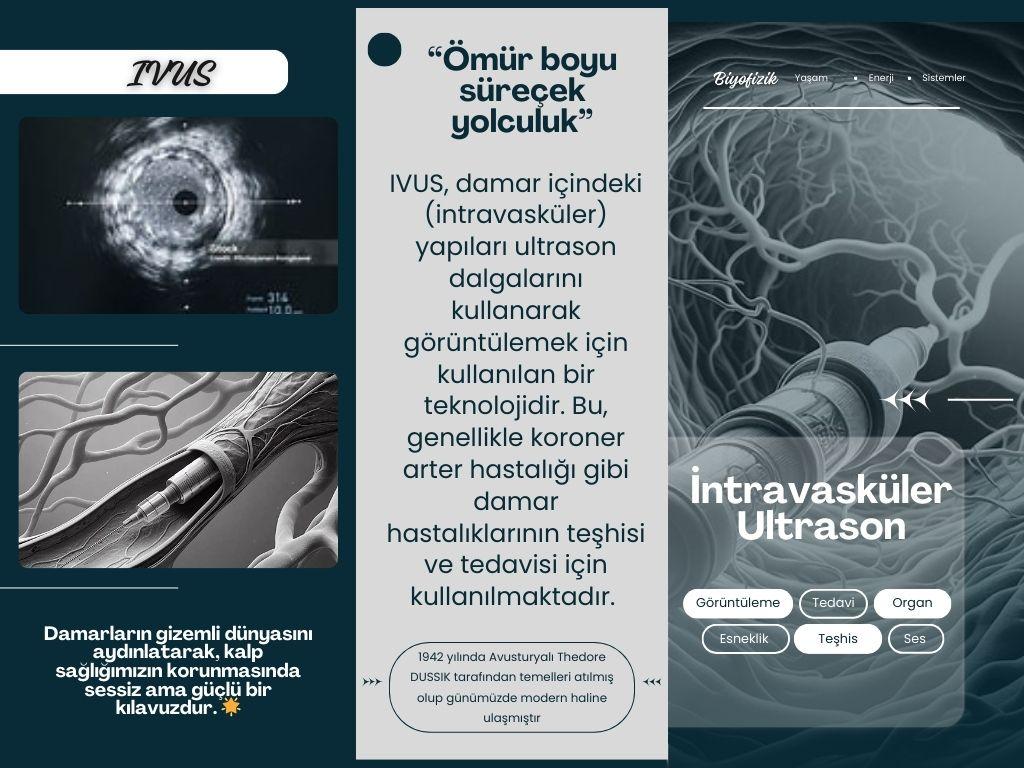 DALL·E 2025-03-17 00.57.28 - A detailed medical illustration of intravascular ultrasound (IVUS) imaging a blood vessel. The image shows a catheter inside an artery, emitting ultra.webp