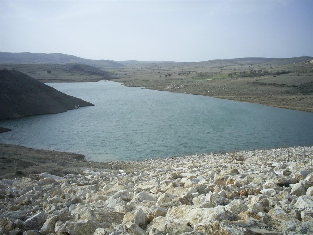 bademli 3 (1).jpg