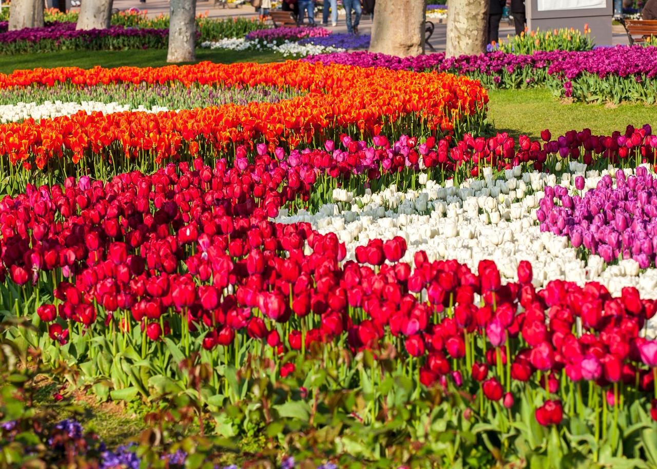 Gülhane Park