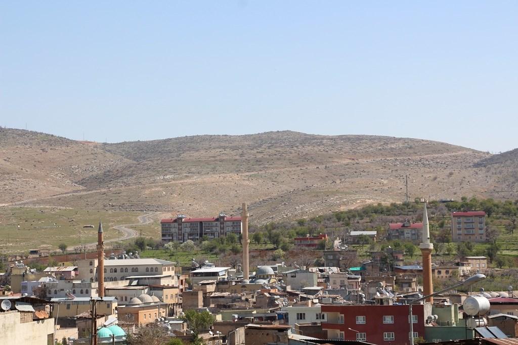 Tillo (İlçe)