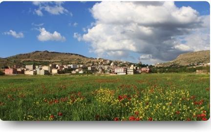 Yeşilli (District)
