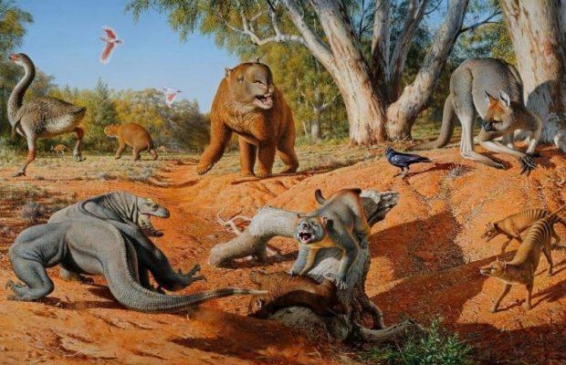Megafauna