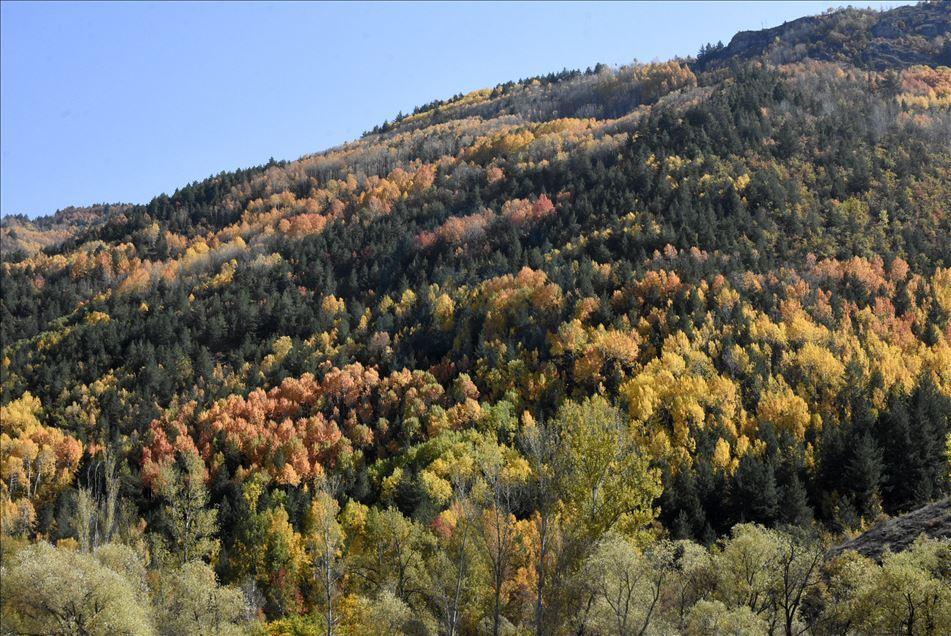 Kürtün (İlçe)
