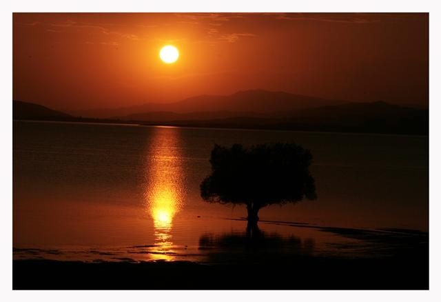 Palu (İlçe)