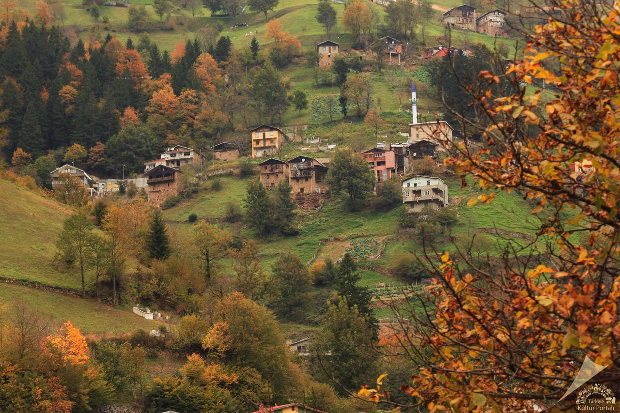 İkizdere (İlçe)