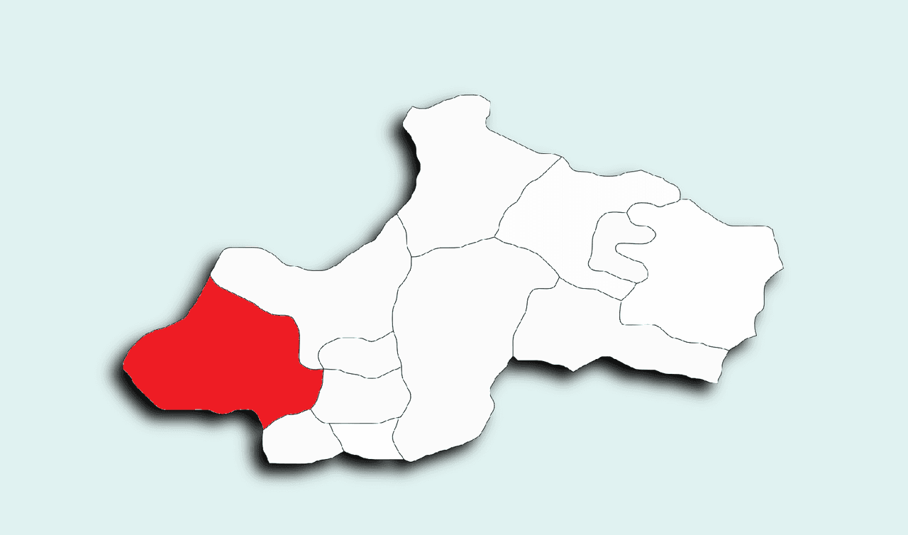 zile.png