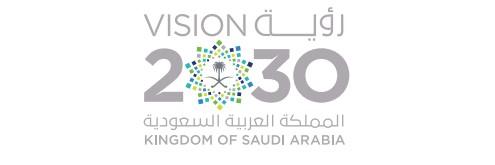 Vision 2030 Plan