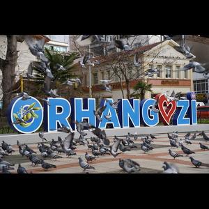 Orhangazi (District)