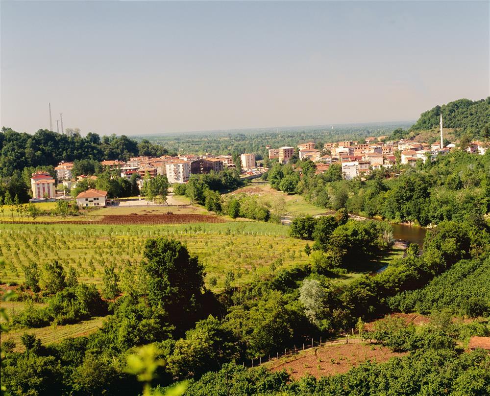 Salıpazarı (İlçe)