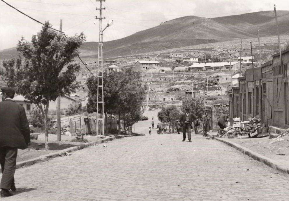Şenkaya (İlçe)