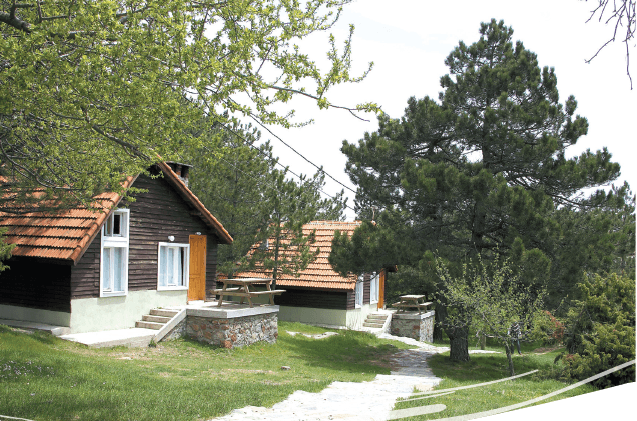 Biological Diversity of Spil Mountains National Park